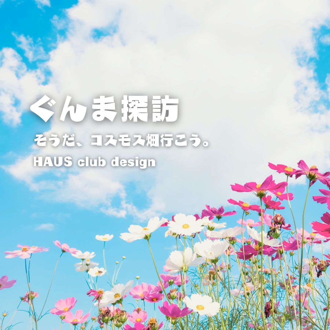 【ぐんま探訪】コスモス畑に行ってきました。 | HAUS club design